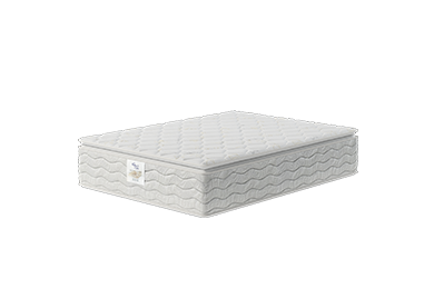 Organic Cotton Pillow Top Mattress